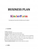 Business Plan type