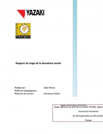 Rapport De Stage Gestion Des Ressources Humaines Pdf