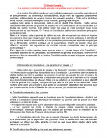 La Justice Constitutionnelle Est Elle Compatible Avec La Democratie Dissertation Daviane14