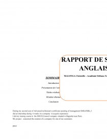 Oral Bts Ag Anglais Rapport De Stage Chrisou242