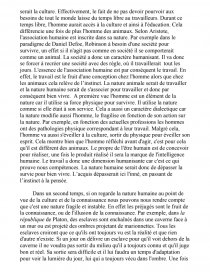 dissertation philosophie nature humaine