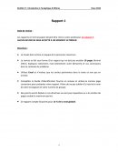 Analyique d'Affaires-Rapport 1