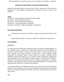 Corps Naturel Corps Artificiel Le Corps Et La Question Du Beau Dissertation Roxane Benchimol