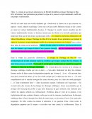 Le roman les particules élémentaires de Michel Houllebecq critique l’héritage de Mai 68, à la lumière d’une génération qui prônait le règne de la jeunesse et qui maintenant, souffre de son propre vieillissement.