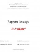 Rapport de stage, commerce international
