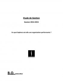 Etude De Gestion Premiere Stmg Sephora Etude De Cas Pierre Tillier