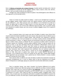 Dissertation Citation Du Bellay Dissertation Zoemarechal