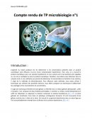 Microbiologie