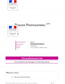 Dossier professionnel