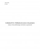 Analyse d’une problématique territoriale ou partenariale