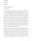 Final essay - Media Studies