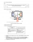 Physique fondamentale : spectre de raie et formation des thermo électrons