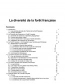 La diversité de la forêt française