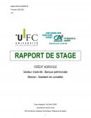 Rapport de stage Assistant Conseiller en Gestion de Patrimoine