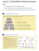 La multiplication et la croissance bactérienne