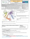 Comprendre le fonctionnement d’internet