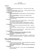 Comment la montée des gangs en Haïti reflète-t-elle la faillite démocratique et l’affaiblissement de l’État ? Comment la montée des gangs en Haïti reflète-t-elle la faillite démocratique et l’affaiblissement de l’État ?