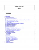 Rapport de Shell Rapport de Shell