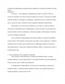 La modélisation et la résolution des problèmes issus des échecs par les mathématiques La modélisation et la résolution des problèmes issus des échecs par les mathématiques