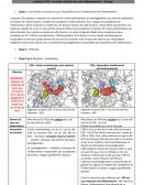 Le mode d’action des anti-inflammatoires Le mode d’action des anti-inflammatoires