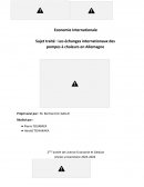 Les échanges internationaux des pompes à chaleurs en Allemagne Les échanges internationaux des pompes à chaleurs en Allemagne