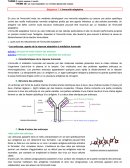 Le fonctionnement du système immunitaire humain Le fonctionnement du système immunitaire humain