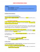 Droit international public Droit international public