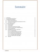 La lumière de Bouddha La lumière de Bouddha