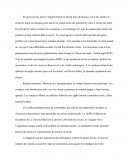 Stage de seconde chez Decathlon Stage de seconde chez Decathlon