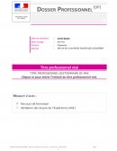 Dossier professionnel gestionnaire de paie Dossier professionnel gestionnaire de paie