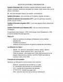 Gestion système d'information Gestion système d'information