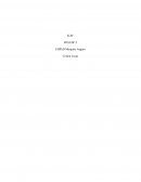Rapport de stage en EHPAD Rapport de stage en EHPAD