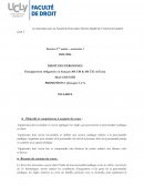 Programme de droit constitutionnel, licence 1ère année, semestre 1 Programme de droit constitutionnel, licence 1ère année, semestre 1