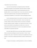 Le pervers narcissique Le pervers narcissique