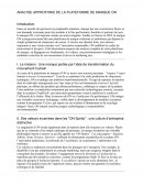 Analyse de la plateforme de marque ON Analyse de la plateforme de marque ON