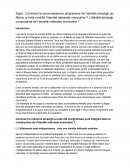 La reconnaissance de l'identité amazigh au Maroc et l'évolution de l'identité marocaine La reconnaissance de l'identité amazigh au Maroc et l'évolution de l'identité marocaine