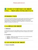 Les principes fondamentaux du droit civil Les principes fondamentaux du droit civil