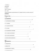 PDUC - Bricomarché PDUC - Bricomarché