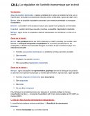 La régulation de l’activité économique par le droit La régulation de l’activité économique par le droit