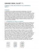 Grand oral sur la simplification de la multiplication Grand oral sur la simplification de la multiplication