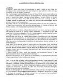 La prostitution en France, débat et enjeu La prostitution en France, débat et enjeu