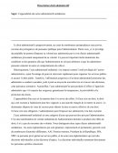 L'opposabilité des actes administratifs unilatéraux L'opposabilité des actes administratifs unilatéraux