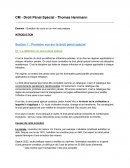 CM de droit pénal spécial CM de droit pénal spécial