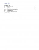 Exposé sur le SIDA et les IST Exposé sur le SIDA et les IST