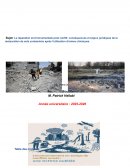La réparation environnementale post conflit: conséquences et enjeux juridiques de la restauration de sols contaminés après l'utilisation d'armes chimiques La réparation environnementale post conflit: conséquences et enjeux juridiques de la restauration de sols contaminés après l'utilisation d'armes chimiques